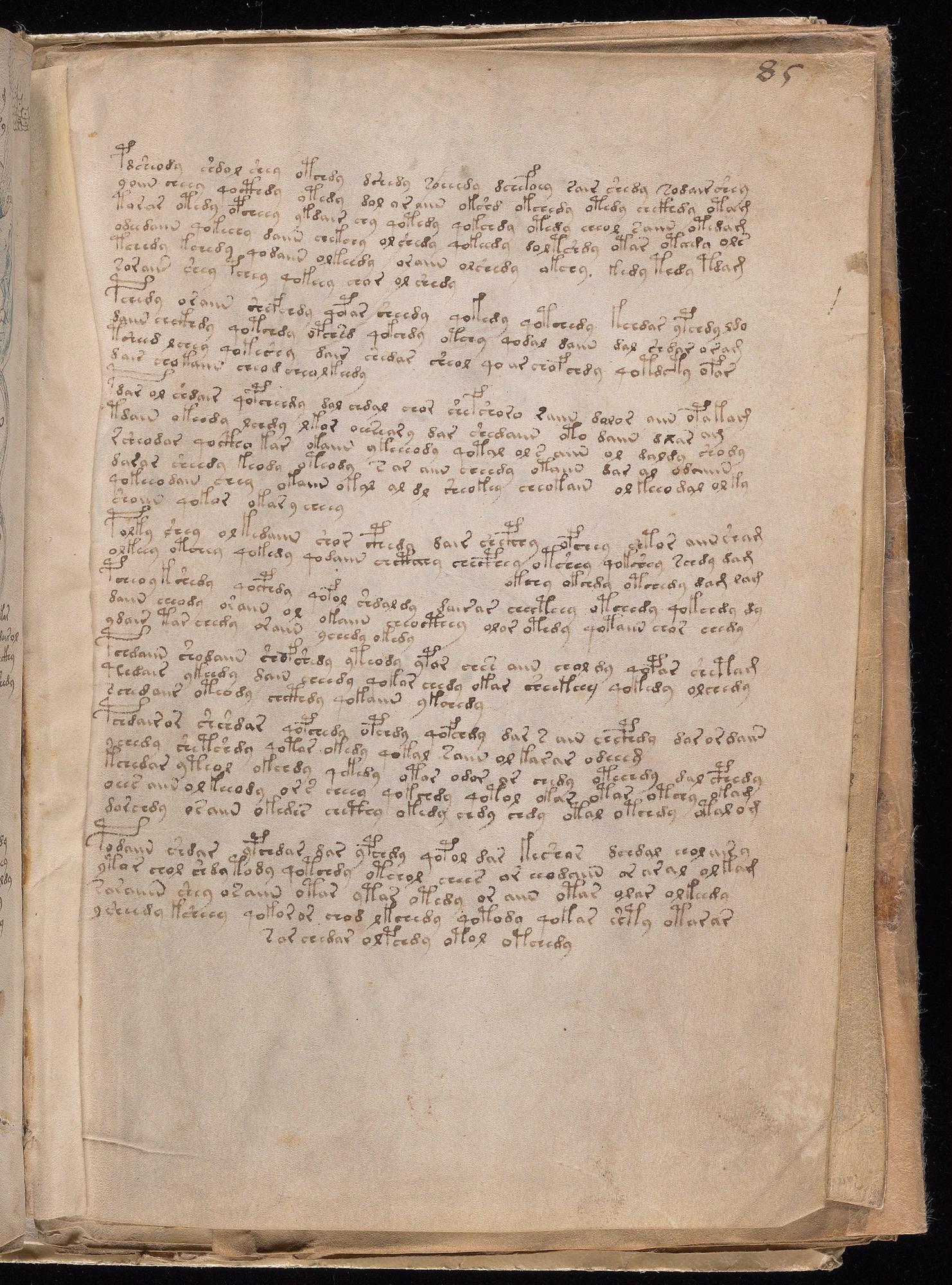 Voynich Manuscript folio f85r (part) — Beinecke MS 408